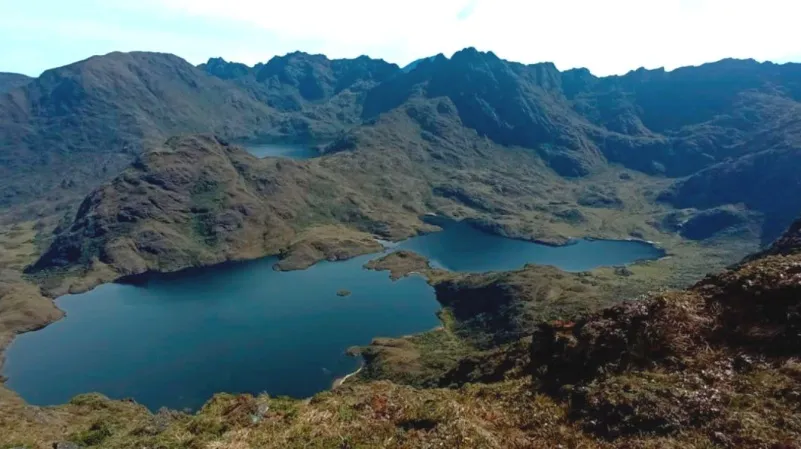 BIODIVERSIDAD. La biodiversidad del Parque Nacional Podocarpus lo convierte en uno de los espacios naturales más significativos del país.